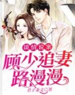 网剧顾先生