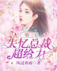 一胎三宝失忆总裁超给力短剧