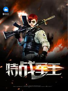 特战兵王万林花豹
