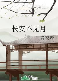 长安不见月书评