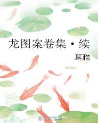 龙图案卷集·续 800章