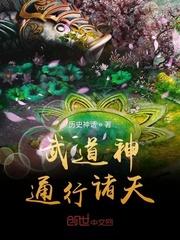 武道神通行诸天无弹窗