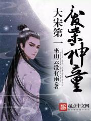 大宋第一废柴神童笔趣阁