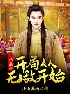 秦风甲午主角的
