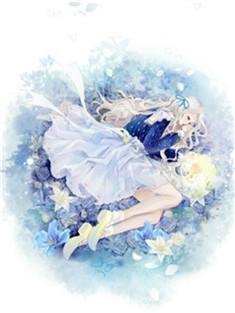 韩辰苏菲免费阅读