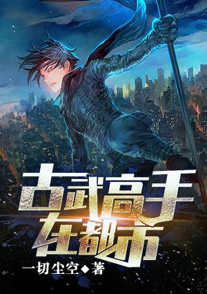 古武高手在都市境界