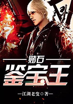 赌石鉴宝王全文阅读无弹窗