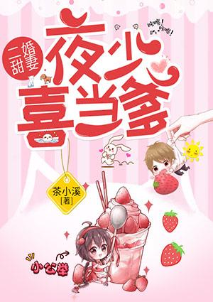 夜少的二婚媳妇