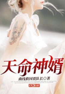 天命神婿陈黄皮叶红鱼免费阅读大结局