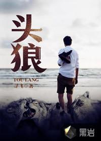 头狼王朗集团所有人物介绍