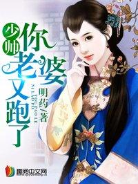 少帅你老婆又跑了大结局
