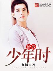恰少年歌词