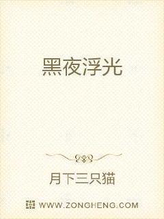 黑夜 光