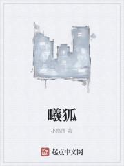 曦狐狸澄