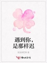 是什么遇到这样的你