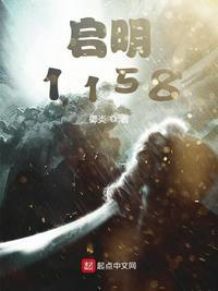 启明1158精校版TXT
