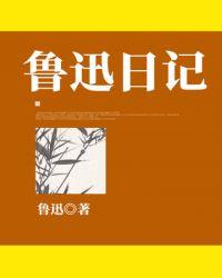 关于鲁迅的日记500字左右