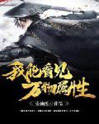 我能看见万物属性卡夜阁