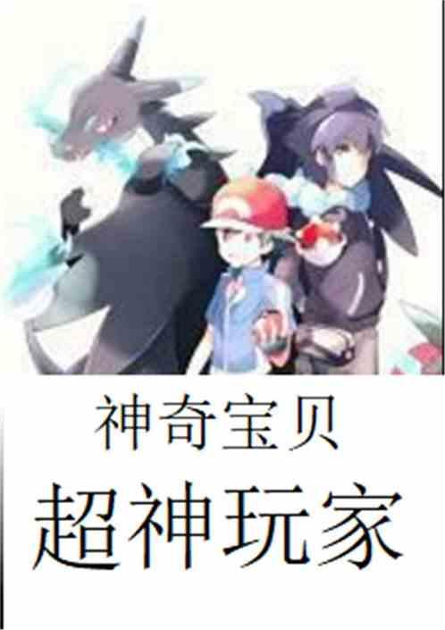 神奇宝贝之玩家