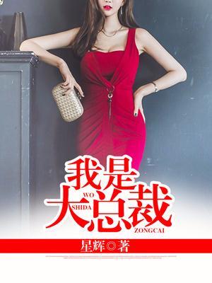 我是大总裁游戏开发者