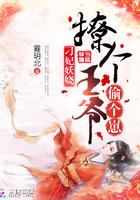 撩个王爷