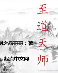 至尊天道去魔师