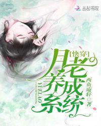 月老养成系统