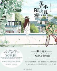 花开半夏电视剧歌曲
