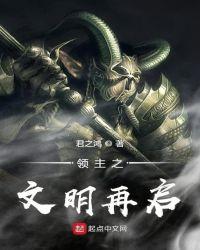 超文明领主