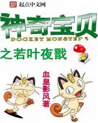 神奇宝贝之夜枭