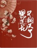 黑莲花最新