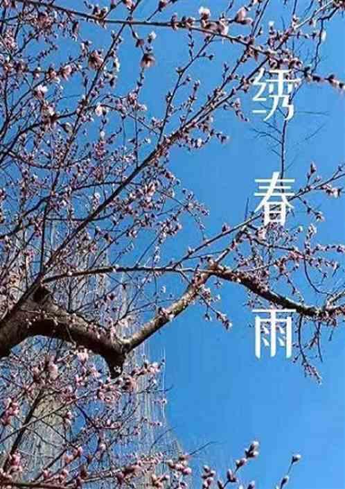 春雨绣江南下一句