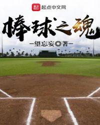 棒球之魂讲了什么故事