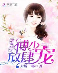 甜婚蜜爱傅少追妻上瘾全文免费阅读