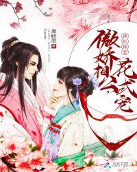 神医辣妻腹黑相公