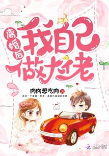 离婚后我自己做大佬笔趣阁