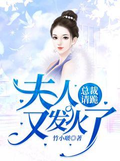 顾倾城穆霆琛