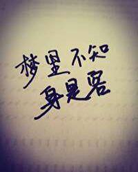 梦里不知身是客灯谜