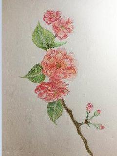 弃女仙路萧隐