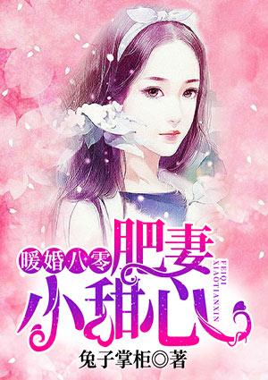 暖婚八零肥婆小甜心