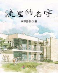 流星的名字及寓意