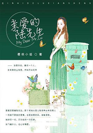 亲爱的陆先生陆泽承短剧免费观看