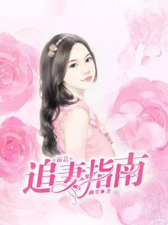 霸总追妻记gl