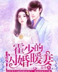 霍少的闪婚暖妻推荐