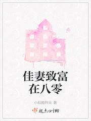 重生八零佳妻致富记