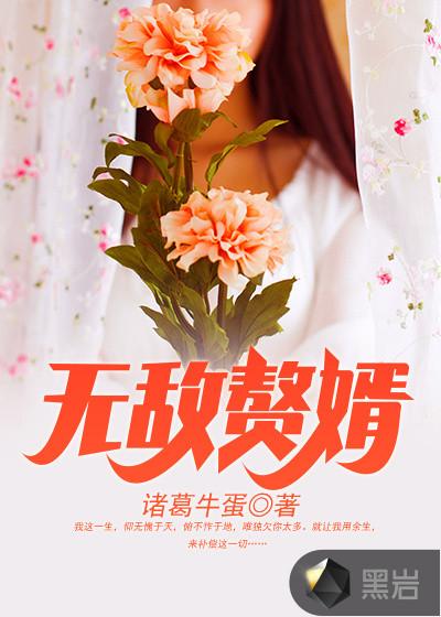 无敌赘婿女主有几个