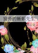 窗外的蜥蜴先生讲什么