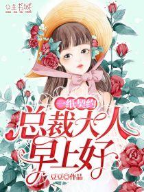 一胎双宝总裁大人早上好