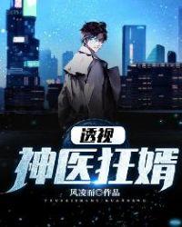 透视神医狂婿秦枫