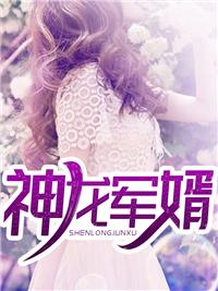 神龙狂婿免费阅读林凡